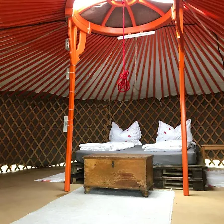 Yurt Village Yellow *