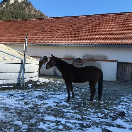 Yurt Village Yellow Neuberg an der Mürz